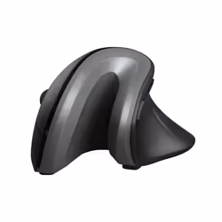 Trust Verro, Droitier, Conception verticale, Optique, RF sans fil, 1600 DPI, Noir, Argent