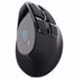 Trust Voxx, Droitier, Conception verticale, Optique, RF sans fil + Bluetooth, 2400 DPI, Noir