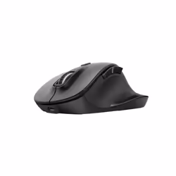 Trust Fyda, Droitier, Optique, RF sans fil, 2400 DPI, Noir