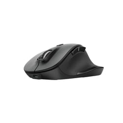 Trust Fyda souris Droitier RF sans fil Optique 2400 DPI