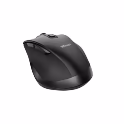 Trust Fyda souris Droitier RF sans fil Optique 2400 DPI