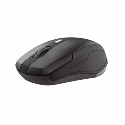 Trust TKM-350 clavier Souris incluse RF sans fil Noir