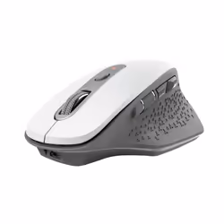 Trust Ozaa souris Droitier RF sans fil Optique 2400 DPI