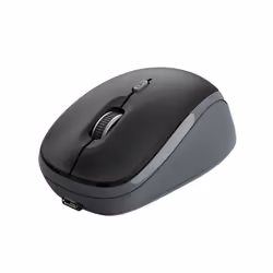 Trust Yvi, Ambidextre, Optique, RF sans fil, 1600 DPI, Noir, Gris