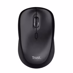 Trust TM-201 souris Droitier RF sans fil Optique 1600 DPI