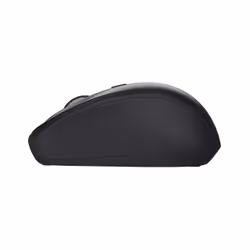 Trust TM-201 souris Droitier RF sans fil Optique 1600 DPI