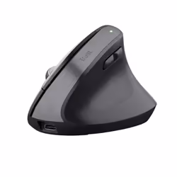 Trust Bayo+, Droitier, Conception verticale, Optique, RF sans fil + Bluetooth, 2400 DPI, Noir