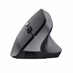Trust TM-270 souris Droitier RF sans fil Optique 2400 DPI