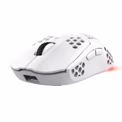 Trust GXT 929 Helox, Droitier, Optique, RF sans fil, 4800 DPI, Blanc
