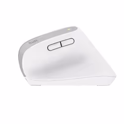 Trust Bayo+ souris Bureau Droitier RF sans fil + Bluetooth Optique 2400 DPI - Vue supplémentaire 4
