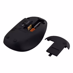 Trust Yvi+ souris Universel Ambidextre RF sans fil + Bluetooth Optique 1600 DPI - Vue supplémentaire 4
