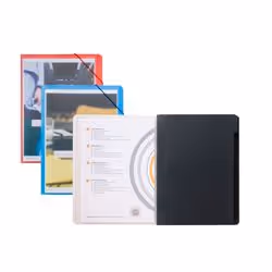 Jalema Lucido Sorting File, A4, Noir, 0,5 mm, 315 mm, 240 mm