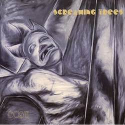 Music On Vinyl Screaming Trees - Dust, Vinyl