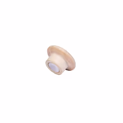 Legamaster WOODEN aimant 25mm 5pcs, Bois, Chine, FSC mix 70%, 25 mm, 25 mm, 15,5 mm