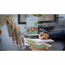 Europel 350102 bac de rangement de bureau Polystyrène Transparent
