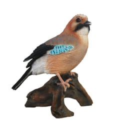 Esschert Design 37000469 statue et figurine décorative