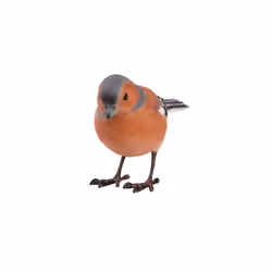 Esschert Design 37000561 statue et figurine décorative