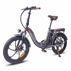 FAFREES F20 Pro - Vélo Électrique - Roues 20 - Moteur 250W - Batterie 36V 18AH - Gris