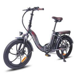 FAFREES F20 Pro - Vélo Électrique - Roues 20 - Moteur 250W - Batterie 36V 18AH - Gris