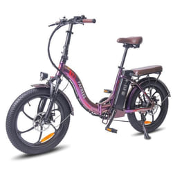 FAFREES F20 Pro - Vélo Électrique - Roues 20 - Moteur 250W - Batterie 36V 18AH - Violet éblouissant