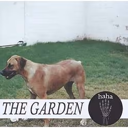 Indigo 116532, Punk, CD, GARDEN, THE, Support physique, 1 disques, 09/10/2015