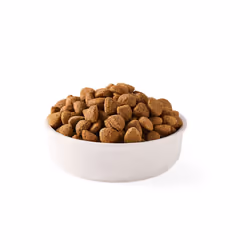 Yarrah Organic Vega 2 kg Adulte Noix de coco, Maïs, Riz