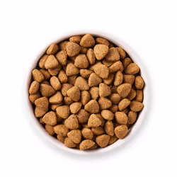 Yarrah Organic Vega 10 kg Adulte Noix de coco, Maïs, Riz - Vue supplémentaire 4