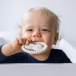 Miffy 17006 anneau de dentition