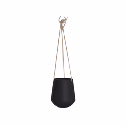 present time PT2846BK, Kit de plantation en pot, Support, Vitrocéramique, Noir, Ovale, Intérieure