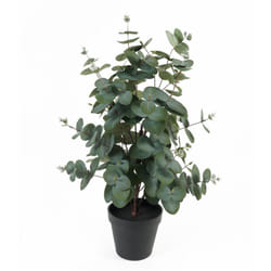 Plante artificielle Present Time Eucalyptus Leaf