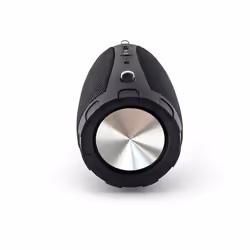 Caliber HPG430BT enceinte portable Enceinte portable mono Noir