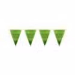 Guirlande fanions vert métallique 6 m