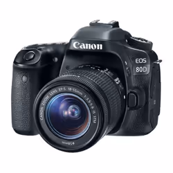 Canon EOS 80D + EF-S 18-55mm f/3.5-5.6 IS STM Kit d'appareil-photo SLR 24,2 MP CMOS 6000 x 4000 pixels Noir - Vue supplémentaire 2