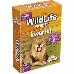 Identity Games 01589, Jeu de cartes, Trivia, 6 an(s)
