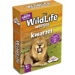 Identity Games 01589 Jeu de cartes Trivia