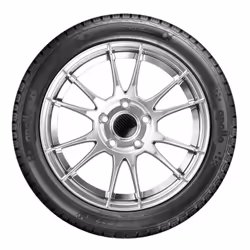 Apollo Alnac 4G ALL Season 155/70 R13 75T auto Pneus toute saison Pneus RENAULT: TWINGO 1, CLIO 1, Super 5 3/5 portes, PEUGEOT: 205 II 3/5 portes AL15
