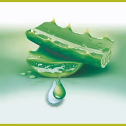 Palmolive Hygiene Plus Sensitive Savon liquide 1 pièce(s)