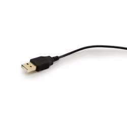 Conceptronic CLLM3BDESK souris Ambidextre USB Type-A Optique 800 DPI