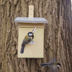 Esschert Design NKK abri pour oiseau - Vue supplémentaire 10