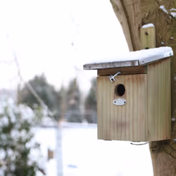 Esschert Design NKK abri pour oiseau - Vue supplémentaire 11