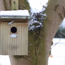 Esschert Design NKK abri pour oiseau - Vue supplémentaire 12