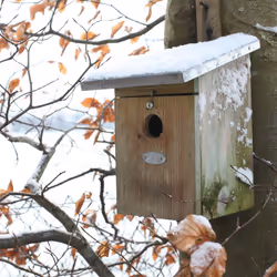 Esschert Design NKK abri pour oiseau - Vue supplémentaire 13