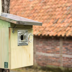 Esschert Design NKK abri pour oiseau - Vue supplémentaire 14