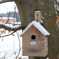 Esschert Design NKP abri pour oiseau - Vue supplémentaire 10
