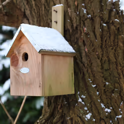 Esschert Design NKP abri pour oiseau - Vue supplémentaire 8