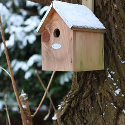 Esschert Design NKP abri pour oiseau - Vue supplémentaire 9
