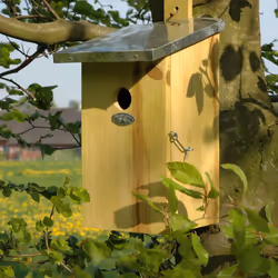 Esschert Design NKO abri pour oiseau - Vue supplémentaire 10