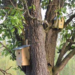 Esschert Design NKO abri pour oiseau - Vue supplémentaire 11