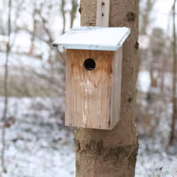 Esschert Design NKO abri pour oiseau - Vue supplémentaire 12