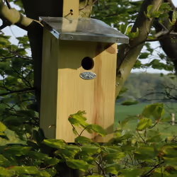 Esschert Design NKO abri pour oiseau - Vue supplémentaire 8